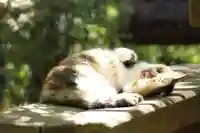 玉野御嶽神社(愛知県)