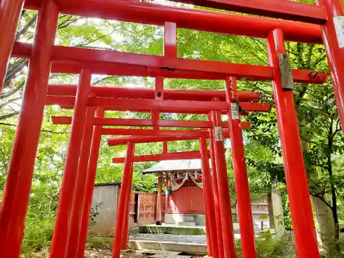 日吉神社の鳥居