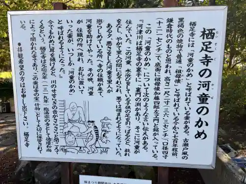 かっぱの寺 栖足寺(静岡県)