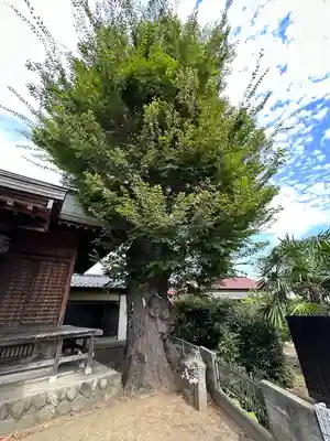 神明神社(東京都)