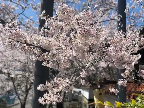 木舟山　順教寺の自然