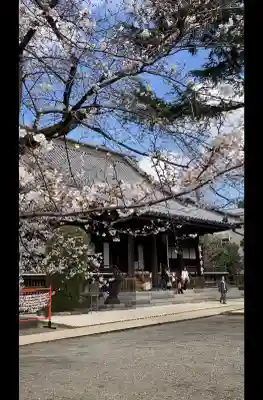 寛永寺(根本中堂)の{uncategorized: "未分類", other: "その他", undefined: "問題あり", building: "その他建物", grave: "お墓", sacred_gate: "鳥居", guardian: "狛犬", statue: "像", buddha: "仏像", history: "歴史", nature: "自然", garden: "庭園", animal: "動物", pagoda: "塔", temizu: "手水舎", mountain_gate: "山門・神門", sanctuary: "本殿・本堂", subordinate: "末社・摂社", art: "芸術", scenery: "景色", jizo: "地蔵", ema: "絵馬", goshuin: "御朱印", omikuji: "おみくじ", items: "授与品その他", amulet: "お守り", goshuincho: "御朱印帳", eats: "食事", festival: "お祭り", votive_dance: "神楽", shichigosan: "七五三参", wedding: "結婚式", experience: "体験その他", initially: "初詣", around: "周辺", anti_infection: "感染症対策"}
