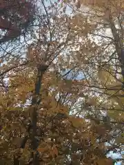 星置神社(北海道)