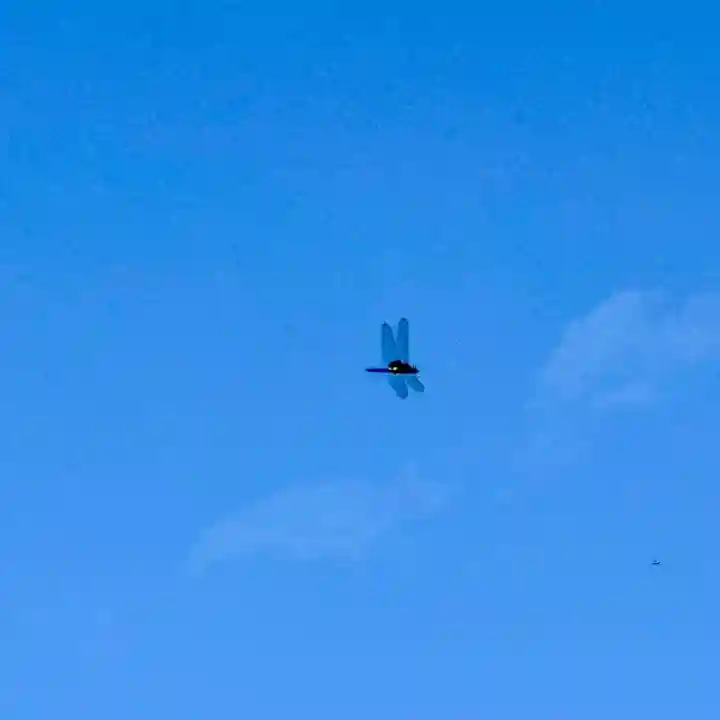 伊勢の国 四天王寺(三重県)