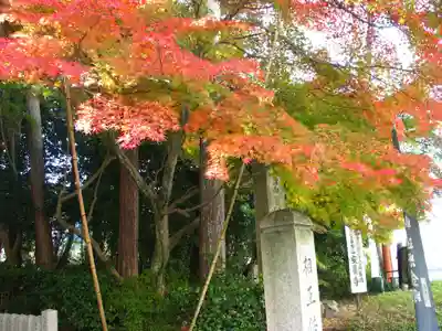 安養寺のその他建物