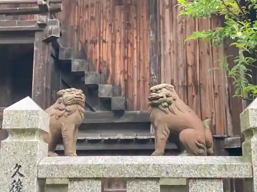 泊神社の狛犬