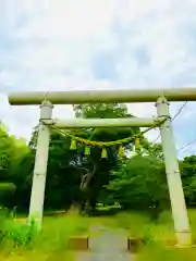 金村別雷神社(茨城県)