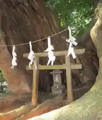 住吉神社(山口県)