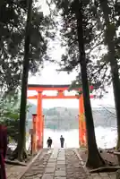 箱根神社の鳥居