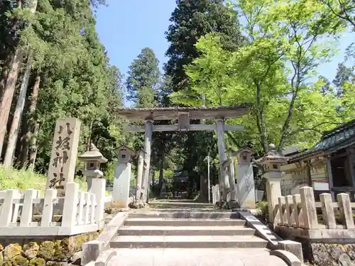 八坂神社の鳥居