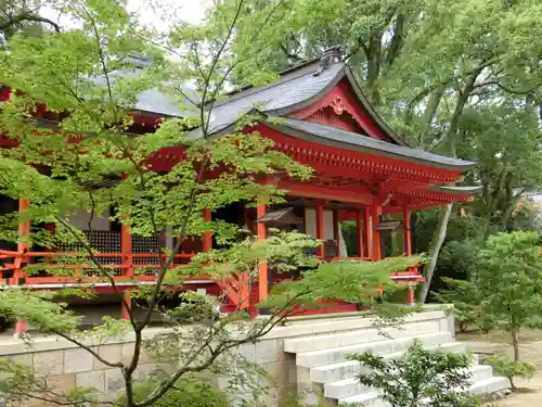 大覚寺の本殿・本堂