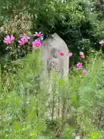 般若寺 ❁コスモス寺❁(奈良県)