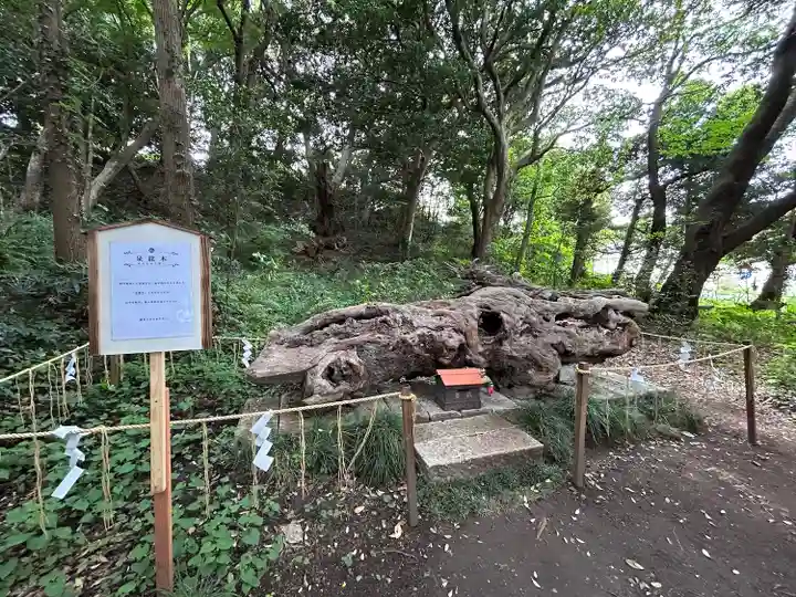 泉神社(茨城県)