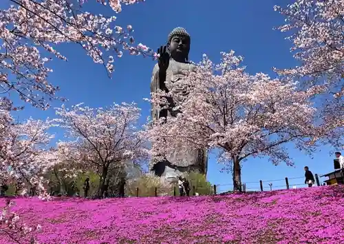 東本願寺本廟 牛久浄苑（牛久大仏）の仏像