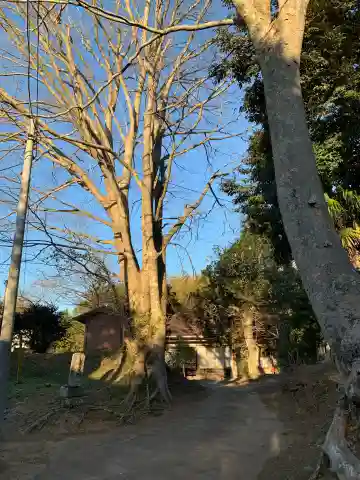 専蔵院(千葉県)