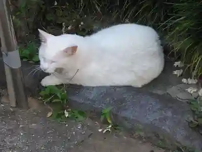 久國神社(東京都)