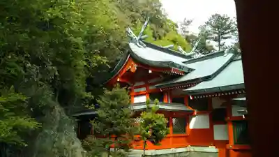 足利織姫神社の本殿・本堂