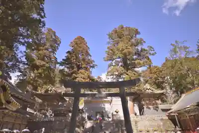 日光東照宮の鳥居
