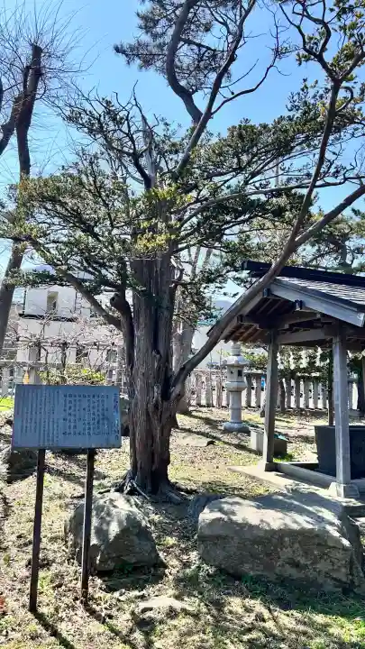 豊川稲荷神社(北海道)