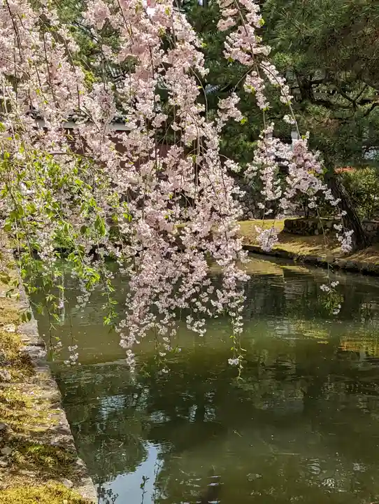 建仁寺(建仁禅寺)(京都府)