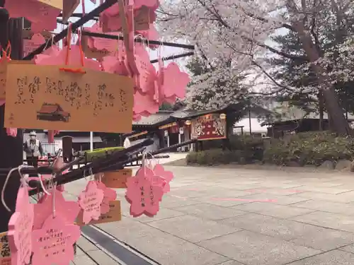 櫻木神社の絵馬