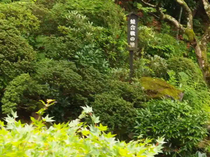 岩松院(長野県)