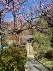 宝楽寺(福井県)