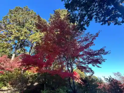 常樂寺(滋賀県)