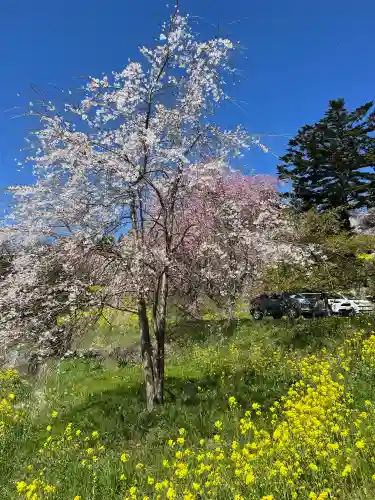 曹洞宗 永松山 龍泉寺の{uncategorized: "未分類", other: "その他", undefined: "問題あり", building: "その他建物", grave: "お墓", sacred_gate: "鳥居", guardian: "狛犬", statue: "像", buddha: "仏像", history: "歴史", nature: "自然", garden: "庭園", animal: "動物", pagoda: "塔", temizu: "手水舎", mountain_gate: "山門・神門", sanctuary: "本殿・本堂", subordinate: "末社・摂社", art: "芸術", scenery: "景色", jizo: "地蔵", ema: "絵馬", goshuin: "御朱印", omikuji: "おみくじ", items: "授与品その他", amulet: "お守り", goshuincho: "御朱印帳", eats: "食事", festival: "お祭り", votive_dance: "神楽", shichigosan: "七五三参", wedding: "結婚式", experience: "体験その他", initially: "初詣", around: "周辺", anti_infection: "感染症対策"}