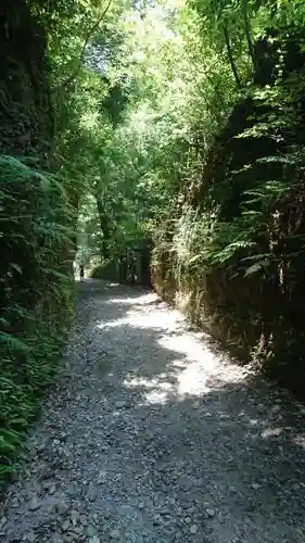 目の霊山　油山寺の自然