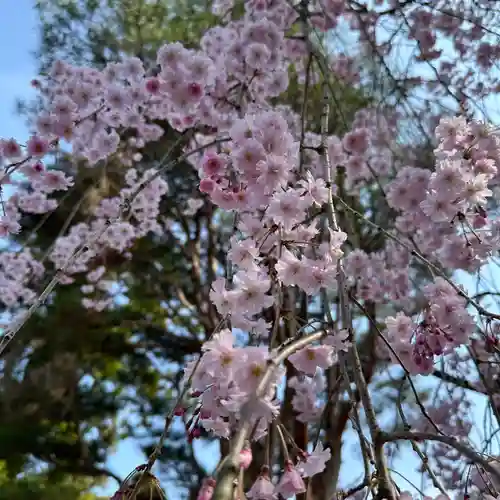 豊景神社(福島県)