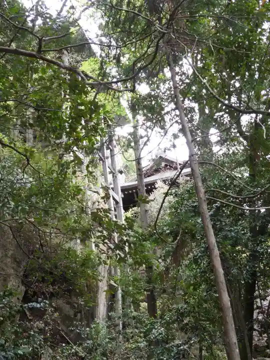 阿賀神社(滋賀県)