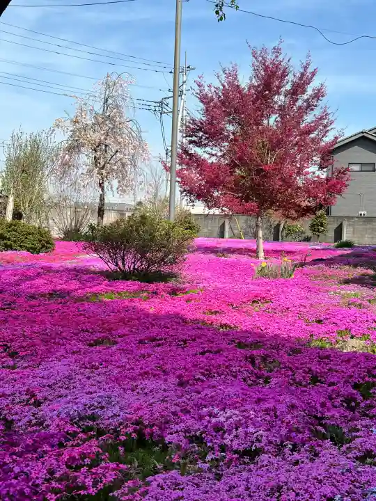 吉祥寺(群馬県)
