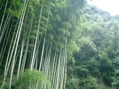 円応寺のその他建物