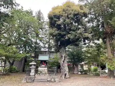 若宮神社(滋賀県)