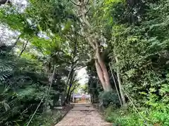 春日神社(奈良県)