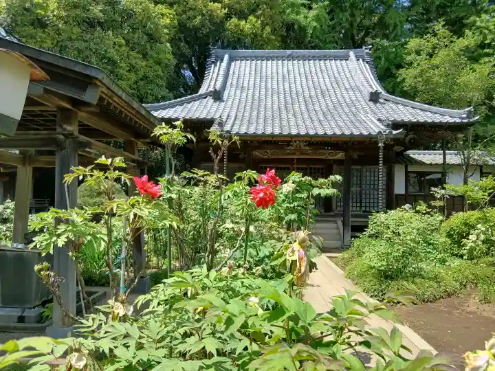 金乘院の{uncategorized: "未分類", other: "その他", undefined: "問題あり", building: "その他建物", grave: "お墓", sacred_gate: "鳥居", guardian: "狛犬", statue: "像", buddha: "仏像", history: "歴史", nature: "自然", garden: "庭園", animal: "動物", pagoda: "塔", temizu: "手水舎", mountain_gate: "山門・神門", sanctuary: "本殿・本堂", subordinate: "末社・摂社", art: "芸術", scenery: "景色", jizo: "地蔵", ema: "絵馬", goshuin: "御朱印", omikuji: "おみくじ", items: "授与品その他", amulet: "お守り", goshuincho: "御朱印帳", eats: "食事", festival: "お祭り", votive_dance: "神楽", shichigosan: "七五三参", wedding: "結婚式", experience: "体験その他", initially: "初詣", around: "周辺", anti_infection: "感染症対策"}