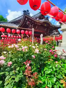 おふさ観音（観音寺）の本殿・本堂