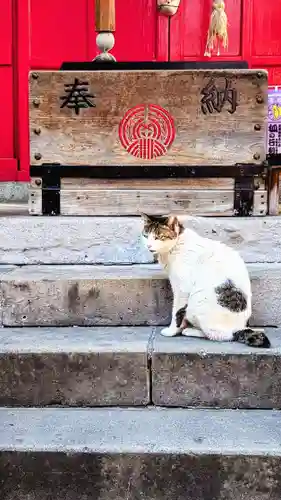 装束稲荷神社（王子稲荷神社境外摂社）の動物