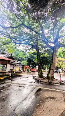 大宮・大原神社(千葉県)