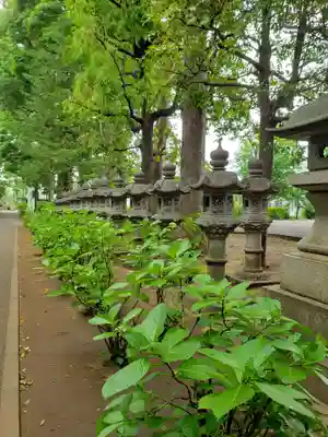 妙法寺(東京都)