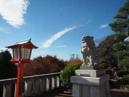 足利織姫神社の狛犬