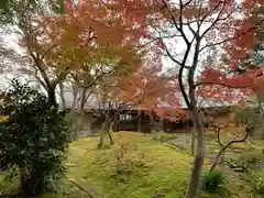 最勝寺の自然