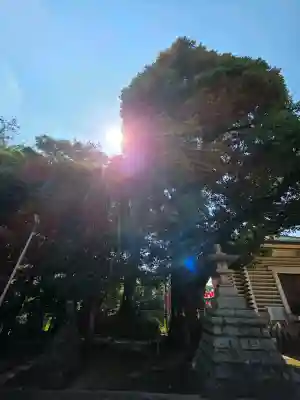 諏訪神社(東京都)