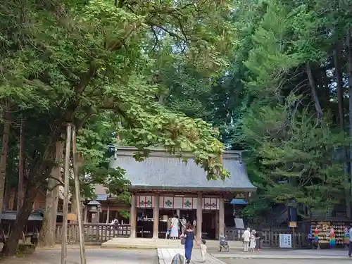 諏訪大社(長野県)