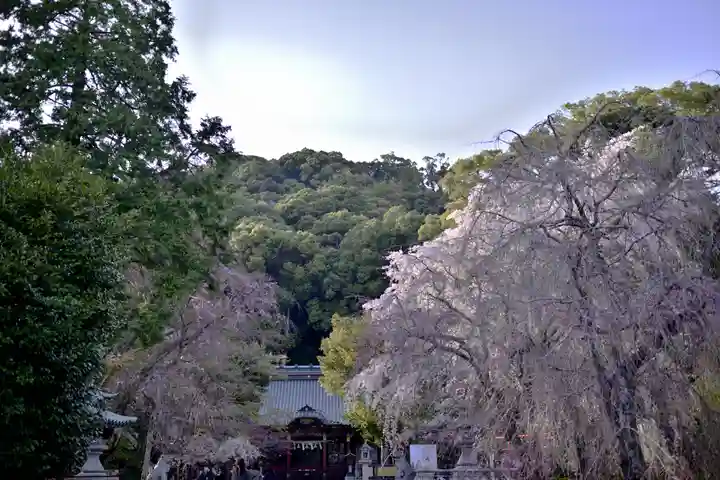 伊豆山神社(静岡県)