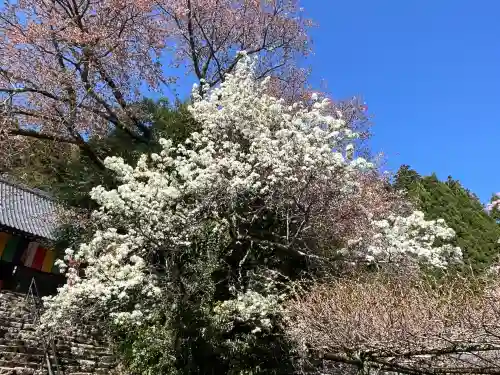 仏隆寺の{uncategorized: "未分類", other: "その他", undefined: "問題あり", building: "その他建物", grave: "お墓", sacred_gate: "鳥居", guardian: "狛犬", statue: "像", buddha: "仏像", history: "歴史", nature: "自然", garden: "庭園", animal: "動物", pagoda: "塔", temizu: "手水舎", mountain_gate: "山門・神門", sanctuary: "本殿・本堂", subordinate: "末社・摂社", art: "芸術", scenery: "景色", jizo: "地蔵", ema: "絵馬", goshuin: "御朱印", omikuji: "おみくじ", items: "授与品その他", amulet: "お守り", goshuincho: "御朱印帳", eats: "食事", festival: "お祭り", votive_dance: "神楽", shichigosan: "七五三参", wedding: "結婚式", experience: "体験その他", initially: "初詣", around: "周辺", anti_infection: "感染症対策"}