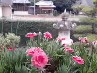 伏木香取神社の自然