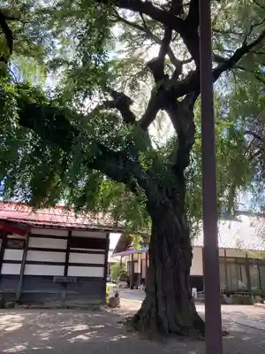 常楽寺(長野県)