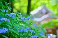 高幡不動尊 金剛寺(東京都)